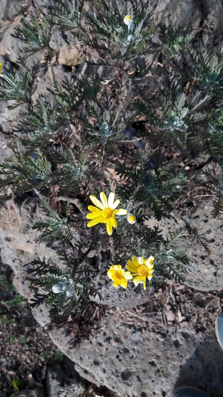 s20170304_091616.jpg